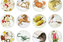 缘分一道桥的舞蹈跳程，中国好声音缘分一道桥是哪期？