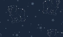 水瓶2023感情运势详解