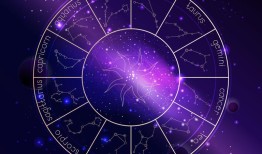 12星座各是什么王，请问十二星座之王是什么