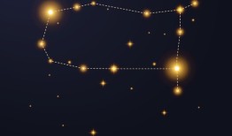 2023王姓100分女孩名字，年姓王的女孩名字