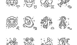 生肖兔2023年运势及每月运势，属兔人2023年运势运程每月运程