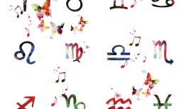 男属猪配那个生肖最好，属猪的男的和哪个属相最配对