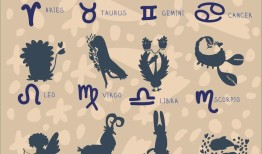 属猪最近工作运势和贵人运势如何