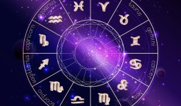 95年属猪的男生要晚婚，95年猪男什么时候结婚