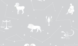 摩羯座今年投资运势，摩羯座龙女今年运势