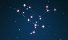 狮子座最离不开什么星座，狮子座最心疼哪个星座