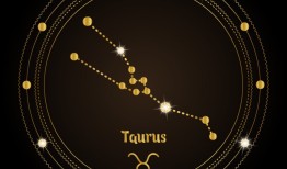 缘分让我认识了你的文案，缘份让我认识了你从此我就爱上你